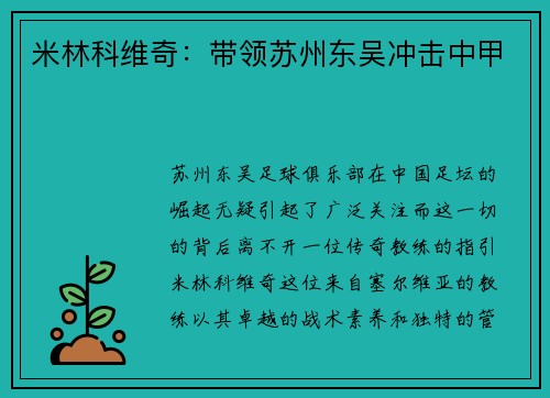 米林科维奇：带领苏州东吴冲击中甲
